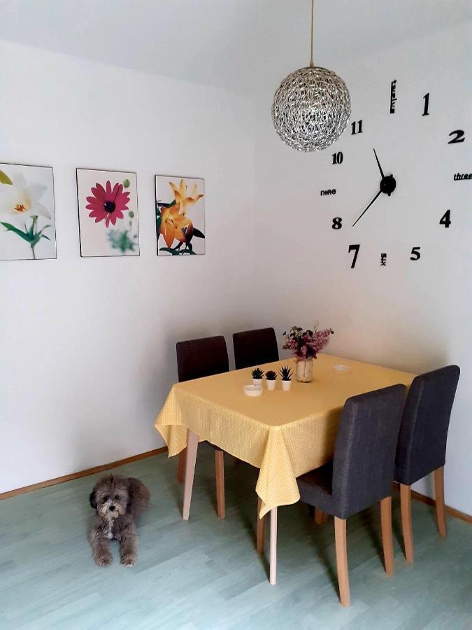 Apartman Danube Novi Sad Ngoại thất bức ảnh